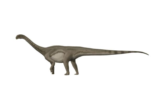 Dinosaurios en Argentina - Patagosaurus fariasi