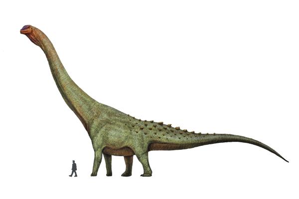 Dinosaurios en Argentina - Patagotitan mayorum