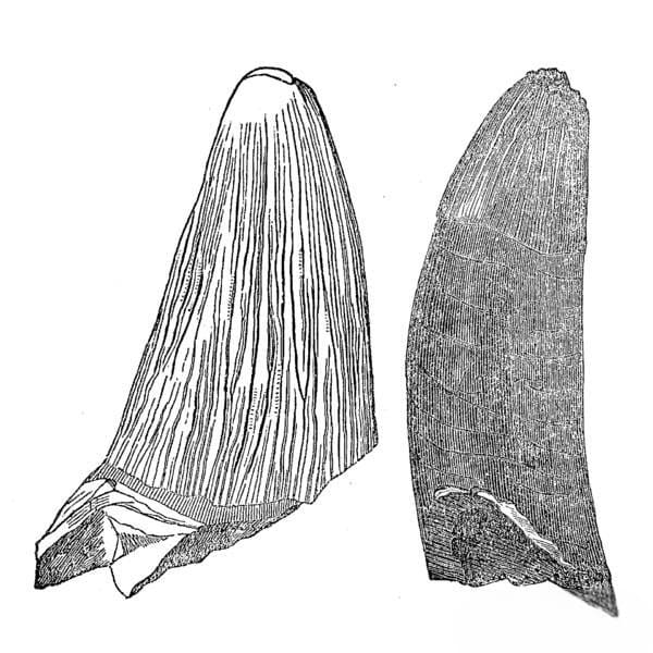 10-Photoroom.jpg