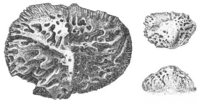 11-Photoroom.jpg