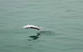 2025102911583653.webp 10.webp