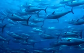 2025102916244897.webp 4.webp