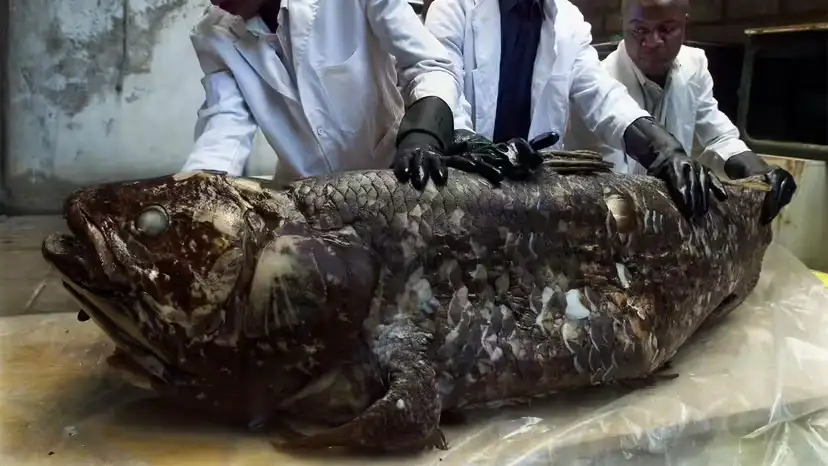 2025102916383328.webp 2.webp