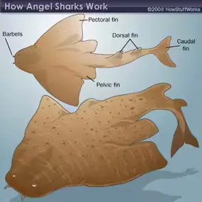 2025102917324098.webp 2.webp