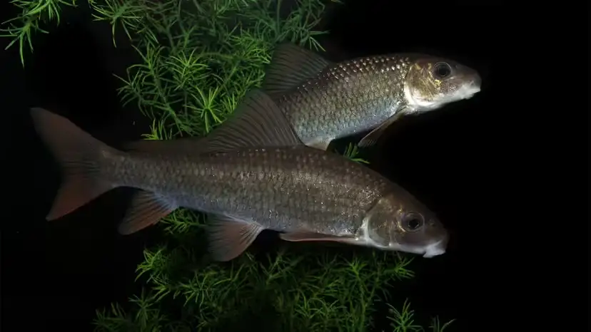 2025102920392814.webp 6.webp