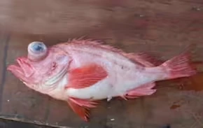 2025102955445365.webp 7.webp