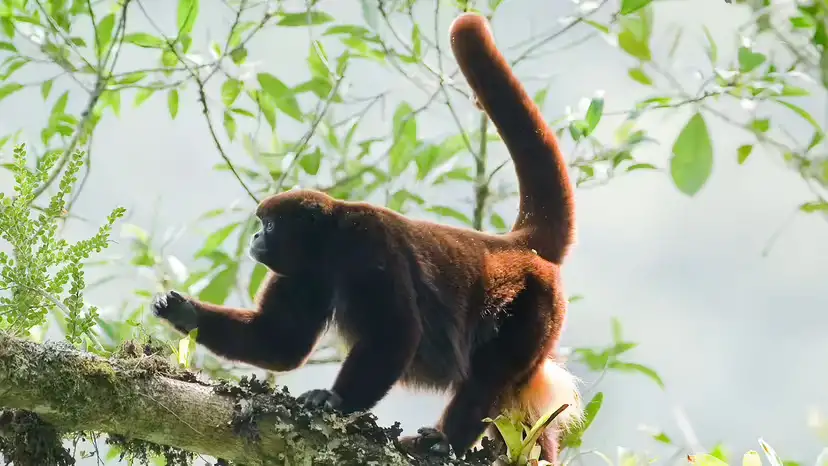 2025102982910726.webp 5.webp