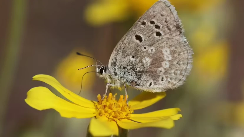 2025103010986500.webp 9.webp