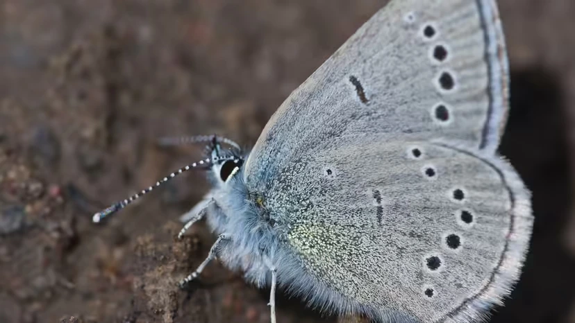 2025103010992693.webp 4.webp