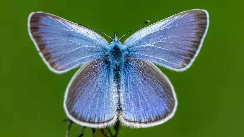 2025103011730297.webp 10.webp