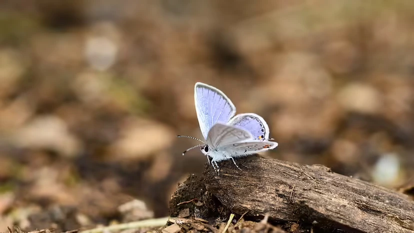 2025103014353542.webp 6.webp