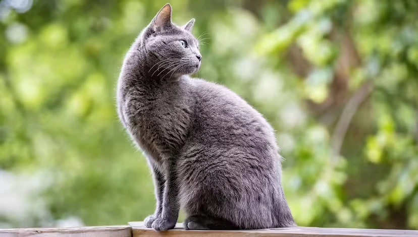 2025103017793151.webp 2.webp