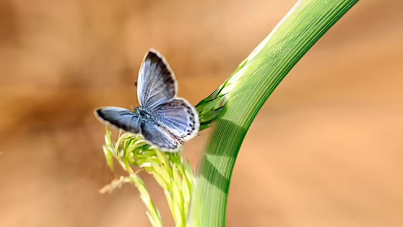 2025103019657037.webp 7.webp