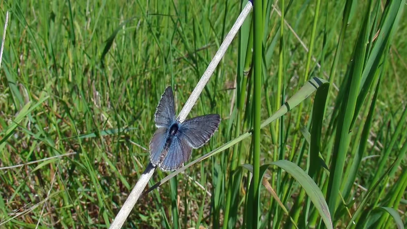 2025103020340597.webp 3.webp