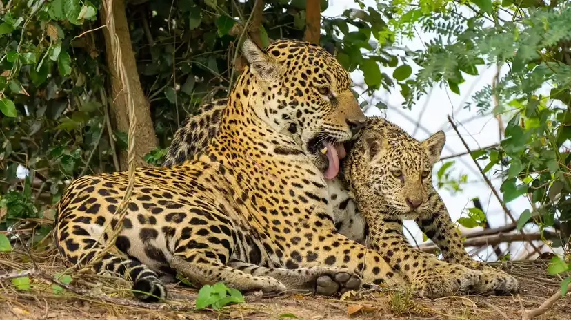 2025103033625195.webp 2.webp