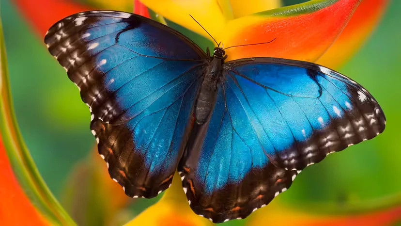 2025103040530406.webp 2.webp