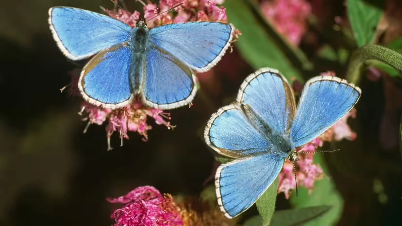 2025103062005746.webp 8.webp