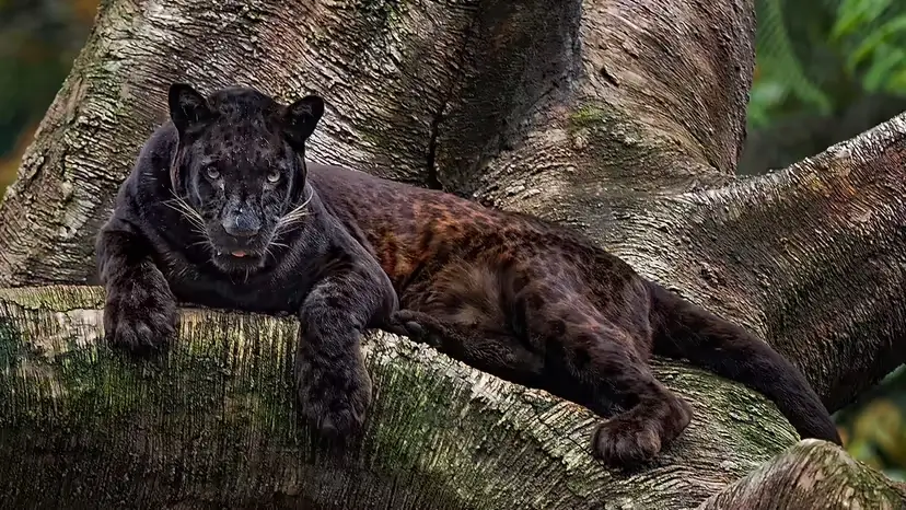 2025103077107825.webp 3.webp