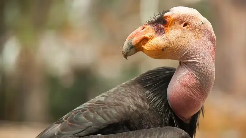 2025103112078394.webp 2.webp