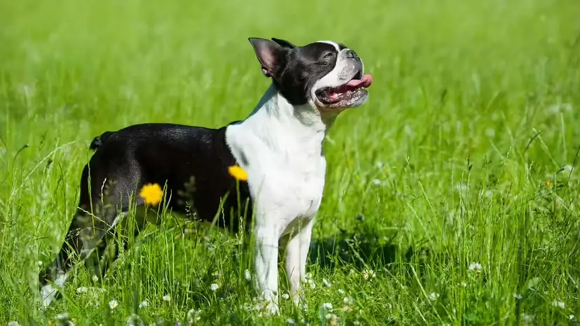 2025103113143918.webp 8.webp