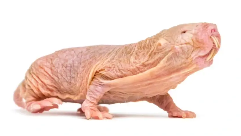 2025103115479801.webp 1.webp