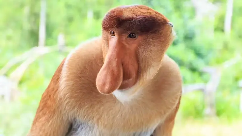 2025103118434933.webp 6.webp