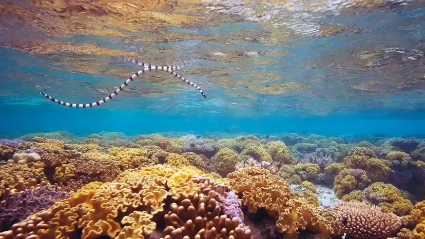 2025103118576839.webp 5.webp