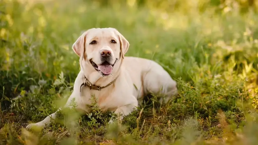 2025103119136658.webp 10.webp