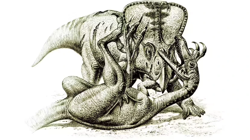 2025103137851594.webp 4.webp