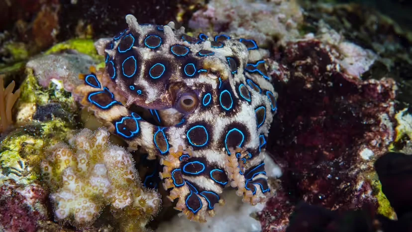 2025103147697516.webp 3.webp