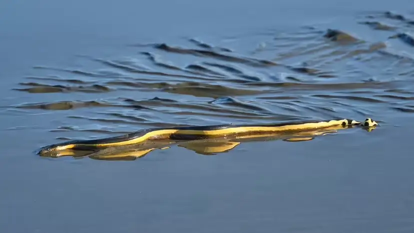 2025103163533980.webp 2.webp