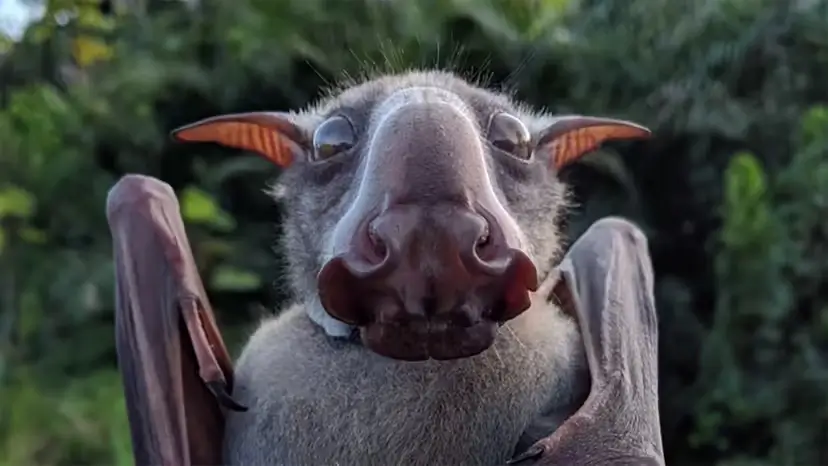 2025103170647058.webp 9.webp