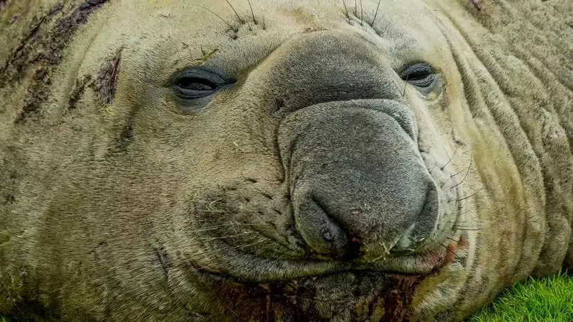 2025103197642485.webp 11.webp