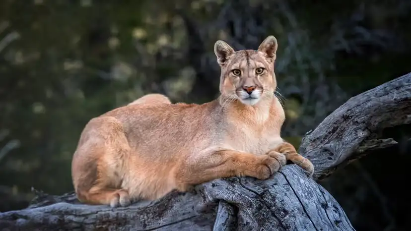 2025110514995096.webp 6.webp