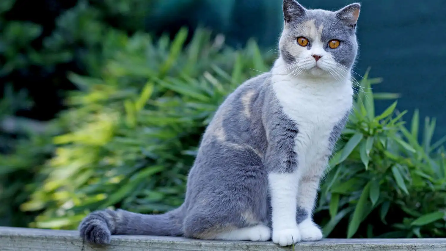 2025110517700811.webp 10.webp