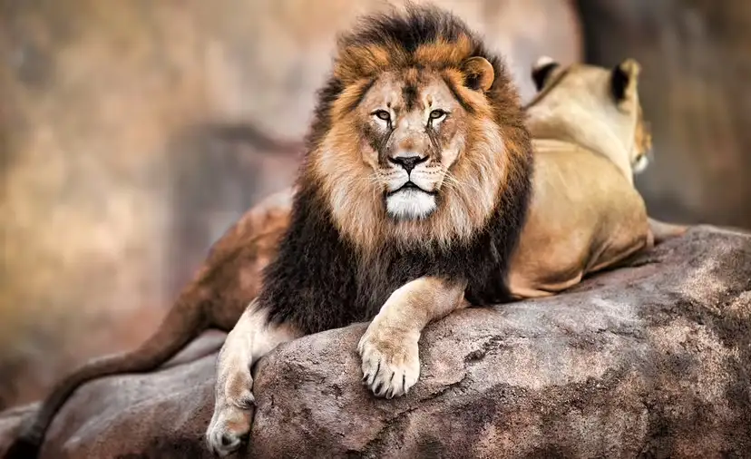 2025110518714401.webp 3.webp