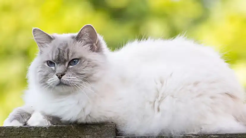 2025110568820136.webp 5.webp