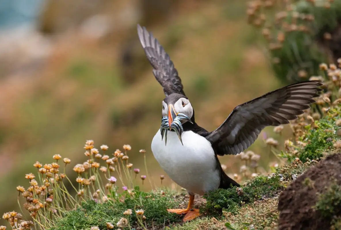 2025110574657678.webp 3.webp