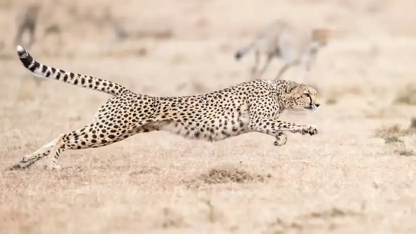 2025110599780958.webp 8.webp