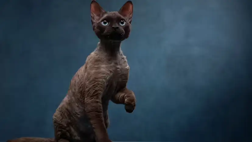 2025111714481365.webp 10.webp