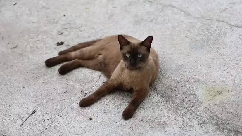 2025111715874965.webp 5.webp