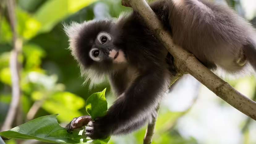 2025120110438723.jpg 11.jpg