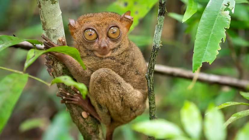 2025120110539160.jpg 5.jpg