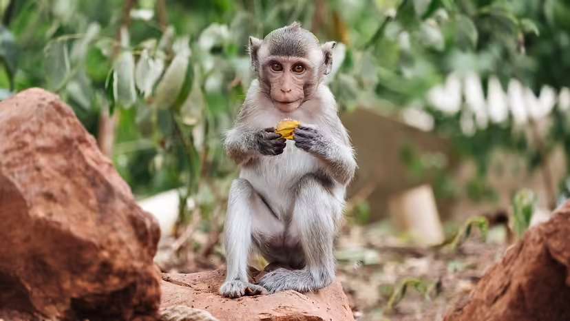 2025120110703065.jpg 9.jpg