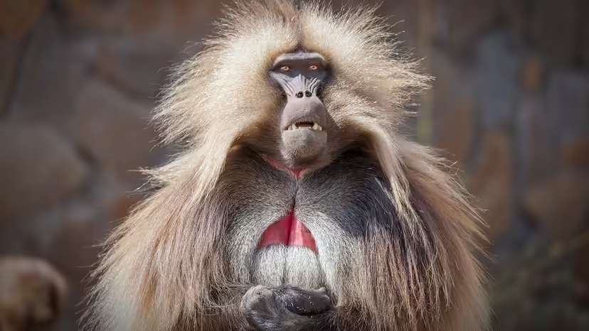 2025120116468548.jpg 8.jpg