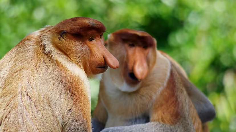 2025120116588941.jpg 2.jpg