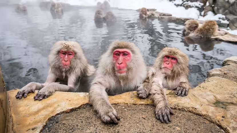 2025120118079500.jpg 10.jpg