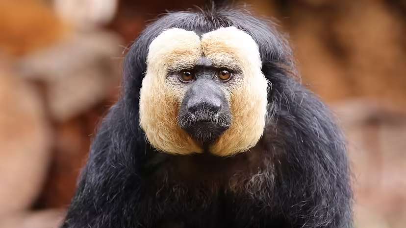 2025120119020080.jpg 7.jpg