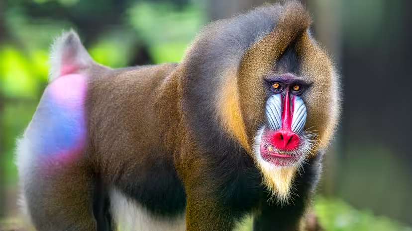 2025120119231239.jpg 6.jpg