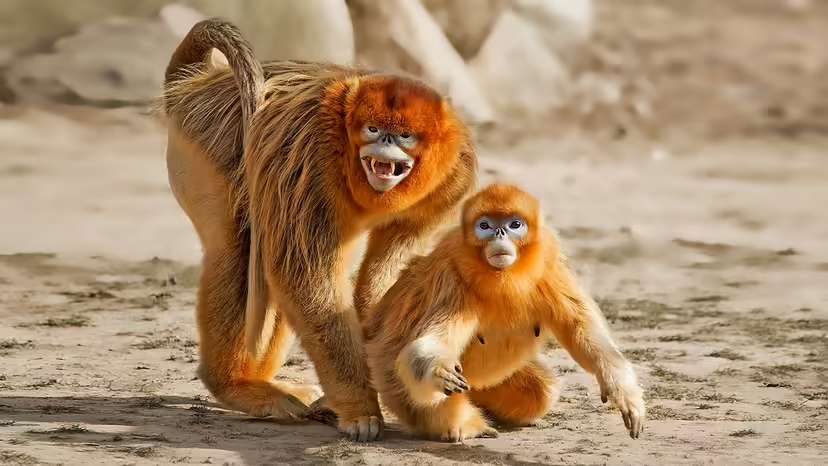 2025120130009067.jpg 4.jpg